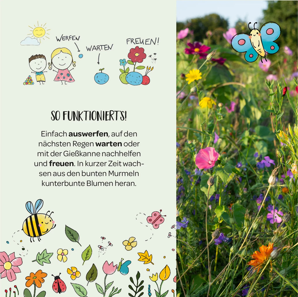 Blumenmurmel Ellas Schmetterlingswiese